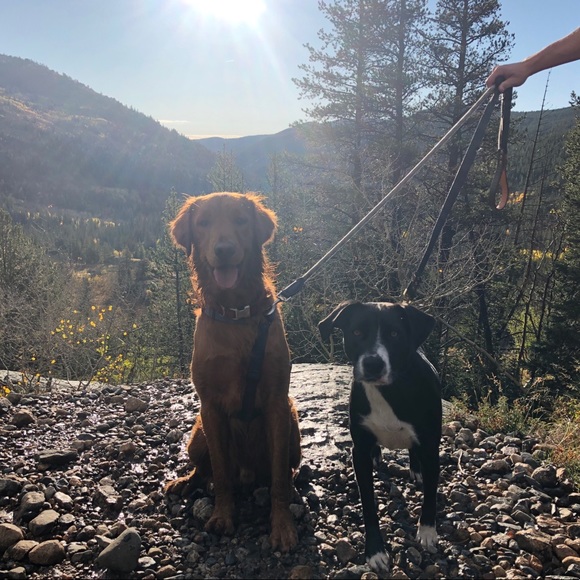 Meet your Posher, Alyssa - Picture 2 of 2